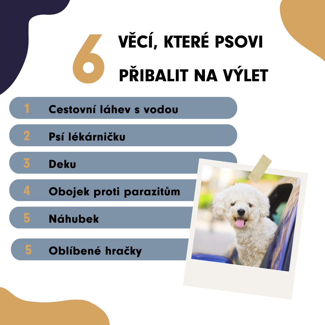 věci co psovi přibalit